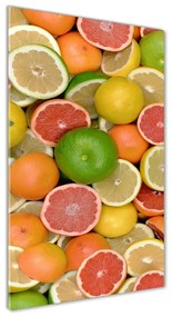 Üvegfotó Citrusfélék osv-75213206
