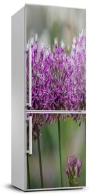Dekor matrica hűtőre Virágok fokhagyma FridgeStick-70x190-f-99551256