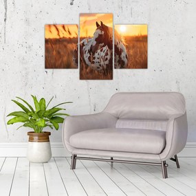 Kép - Ló naplementében (90x60 cm)