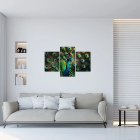 Kép – Pávatoll (90x60 cm)
