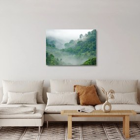 Üveg kép - Reggeli köd (70x50 cm)