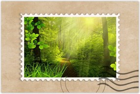 Poszterek 60x40 Varázslatos erdő Tájkép