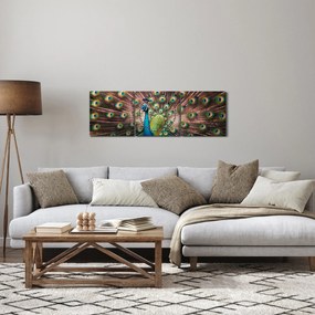 Kép - Páva (órával) (90x30 cm)