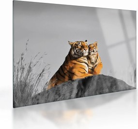 Kép - Tigris és a kölyke, fekete-fehér változat (üvegen) (70x50 cm)