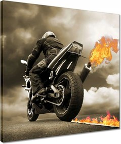 Vászonkép 40x40 Tűz a csőből Üldöző