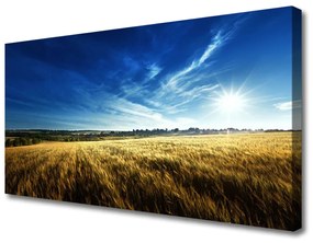 Vászonkép Búza Mező nap táj 100x50 cm