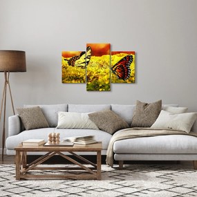 Pillangó képe (90x60 cm)