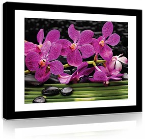 Vászonkép, Rózsaszín orchideák, 100x75 cm méretben