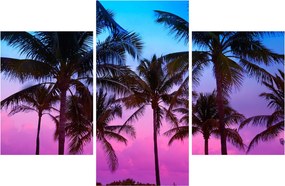 Kép - Pálmafák Miamiban (90x60 cm)