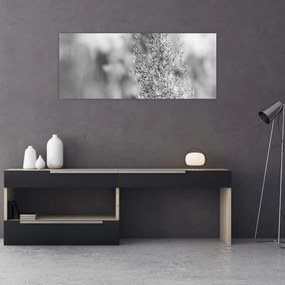 Kép - Boho pampafű (120x50 cm)