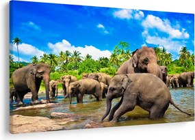 Kép - Elefántok, Sri Lanka (90x60 cm)