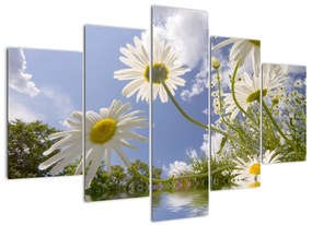 Kép - százszorszép, tavasszal (150x105cm)