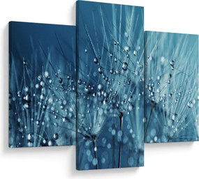 Kép - Harmatcseppek (90x60 cm)