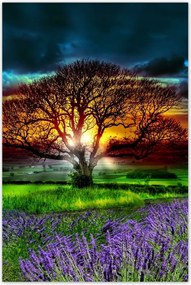 Poszterek 80x120 Az élet fája