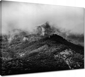 Vászonkép 50x40 Koshka Rock Oroszország