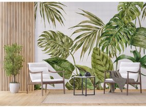 Fern XXL fotó tapéta 360 x 254 cm, 4 részből áll