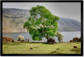 Poszterek keretben 60x40 Erős fa