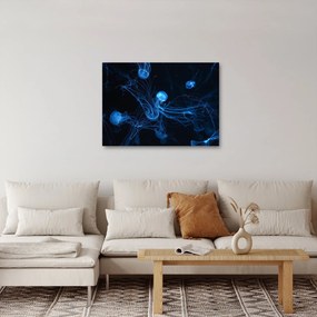 Kép - Medúza (70x50 cm)