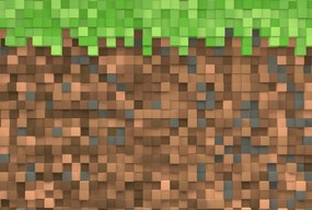Vinyl flizelin tapéta fiúnak Minecraft 3D wz3 370x255cm