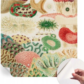 Fali fotótapéta Hálószobába Nappaliba Organikus formák 250x250 cm