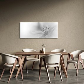 Kép - Delicate Lily (120x50 cm)