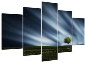 Az aurora borealis képe egy lápvidéken (150x105 cm)