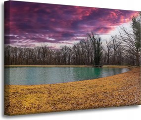 Vászonkép Lila ég tó fák Ősz 70x50 cm