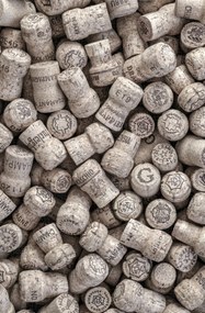 Poszter 53x81cm Pezsgős dugók, Assaf Frank