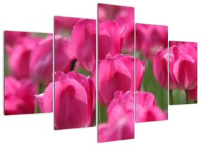 Festmények - tulipánok (150x105cm)