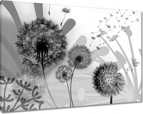 Vászonkép 100x70 Pitypangok B&amp;w