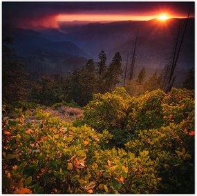 Poszterek 140x140 Kilátás Tájkép