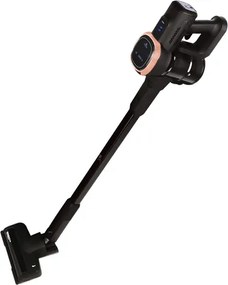 BerlingerHaus Praktikus porszívó BLDC motorral (220 W) Black Rose Collection BH/9341