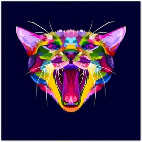 Poszterek 30x30 Cica Cicák