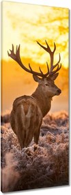 Vászonkép 40x100 Szarvas napfelkeltekor