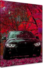Vászonkép 60x80 Fekete Bmw Ősz