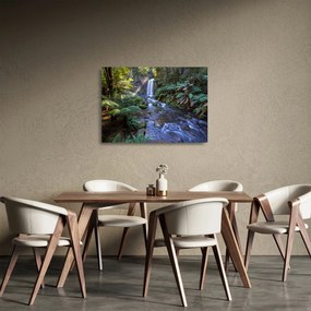 Ausztrál esőerdő képe (üvegen) (70x50 cm)