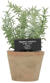 Műnövény (magasság 21,5 cm) Thyme – Esschert Design