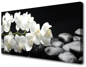 Vászonkép Stones virág növény 125x50 cm
