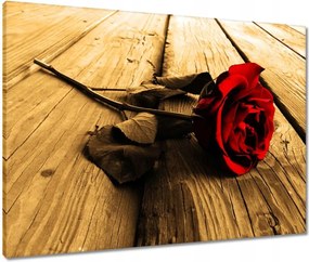 Vászonkép 80x60 Rózsa szépia deszkákon