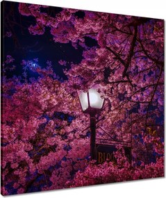 Vászonkép 60x60 Mély éjszaka Lámpa Virágok