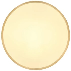 Globo 12381-22 - LED Mennyezeti lámpa TIBEY LED/22W/230V átm. 35 cm