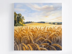 Poszter Kilátás Tájkép Falu Mező Gabona Kalászok 80x80