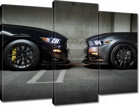 Vászonkép 90x70 Face to face Mustang