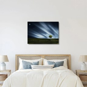 Az aurora borealis képe egy lápvidéken (70x50 cm)
