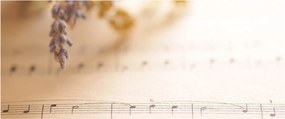 Kép - Dal (120x50 cm)