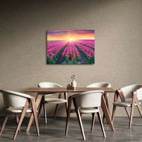 Tulipán mező és a nap képe (70x50 cm)