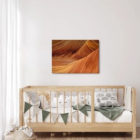 Kép - Vörös homok (70x50 cm)