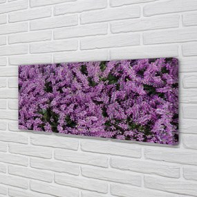 Canvas képek lila virágok 140x70 cm