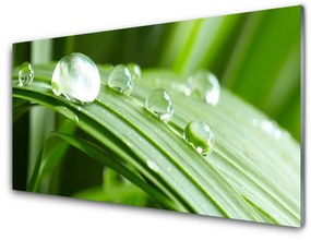 Akril üveg kép Leaf Dew Drops 100x50 cm