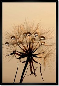 Poszterek keretben 40x60 Pitypang Virág Virágok